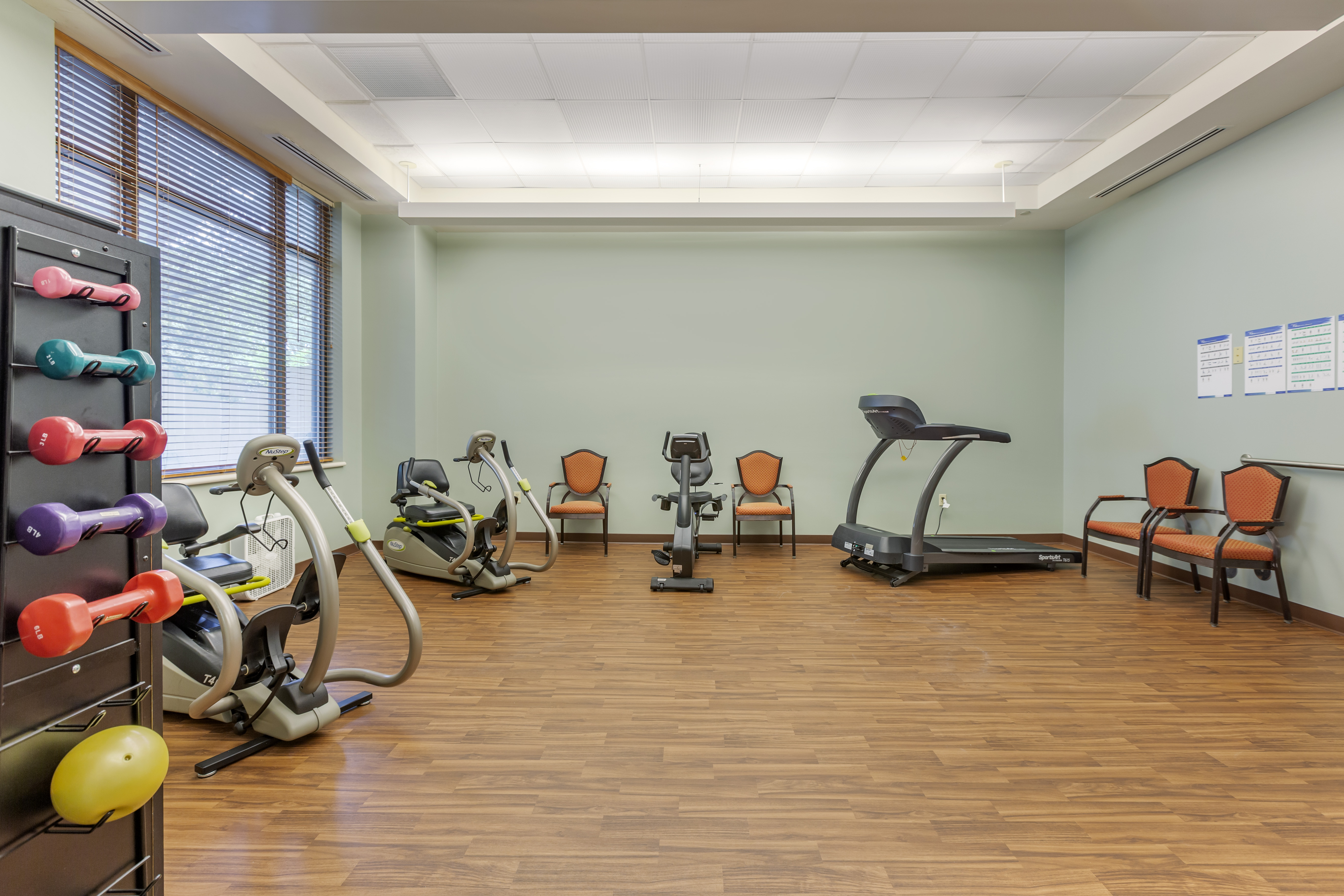 Physical Therapy