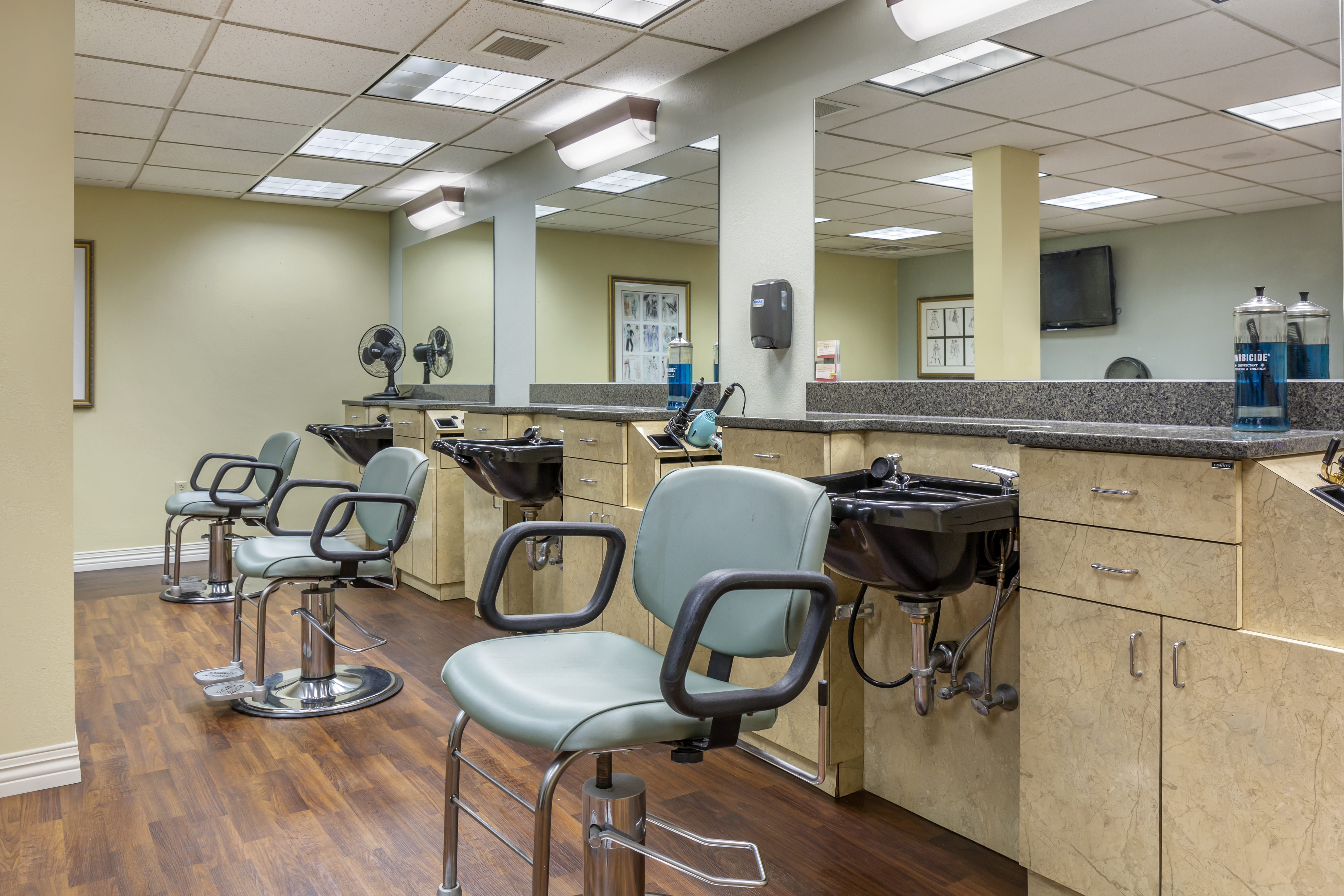 Salon