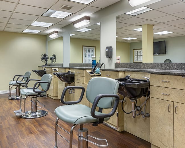 salon