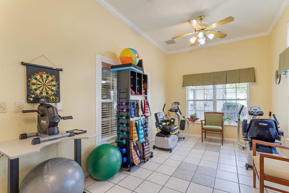 Physical Therapy