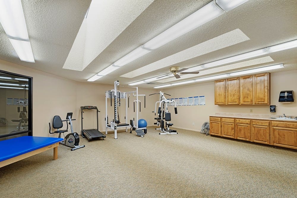 Physical Therapy
